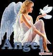sticker_30578747_43065321
