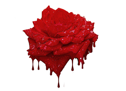 sticker_19020867_36616158