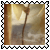 sticker_11359521_32016684