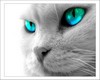 sticker_36618255_5