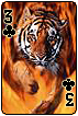 sticker_22933190_44496079