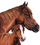 sticker_16421175_39515740