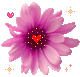 sticker_2897523_40479939
