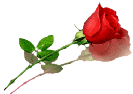 sticker_35336189_28