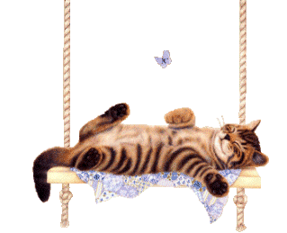 sticker_17227985_44892135