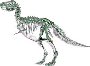 sticker_17057576_35884475