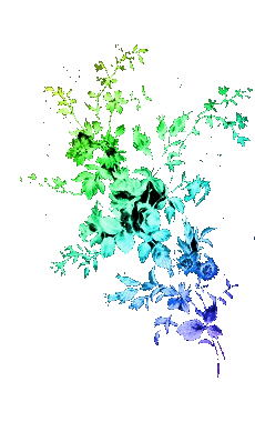 sticker_6135606_36545662