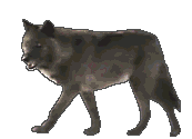 sticker_10812803_23881445
