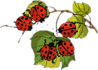 sticker_1523823_30335331