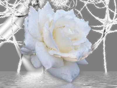 sticker_11538080_15719056