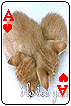 sticker_22933190_44496069