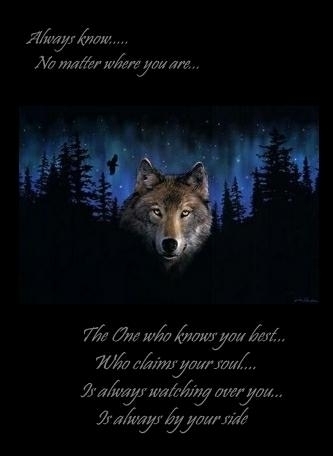 sticker_29732997_47318812