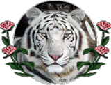 sticker_26056149_39937199
