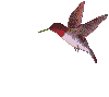 sticker_24780272_47421996