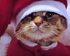 sticker_13288674_43422268