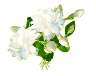 sticker_28975444_42530153