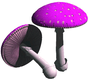 sticker_24006828_45350580