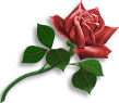 sticker_14903160_47473772