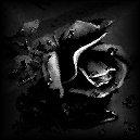 sticker_20706583_47444659