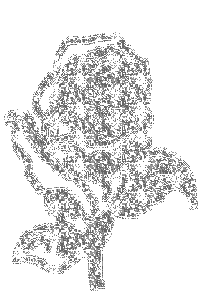 sticker_7836327_17096028