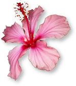 sticker_4744388_47584445
