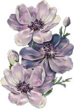 sticker_35754523_55