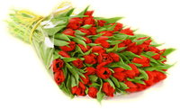 sticker_33619544_47275719