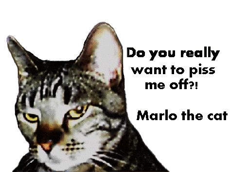 sticker_4667946_6581312