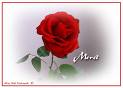 sticker_17624527_34725717