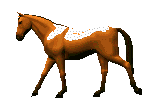 sticker_16421175_38793070