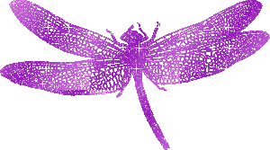 sticker_23920903_38093371