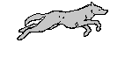 sticker_22110656_29848283