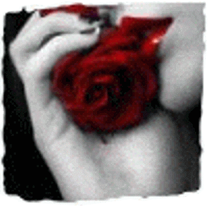 sticker_40162439_4