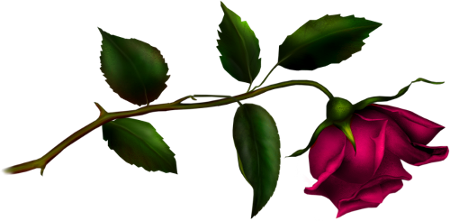 sticker_18985619_45601465