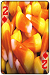 sticker_7487482_33858627