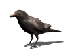 sticker_20852048_47502143