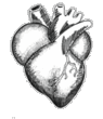 sticker_12376572_35211784