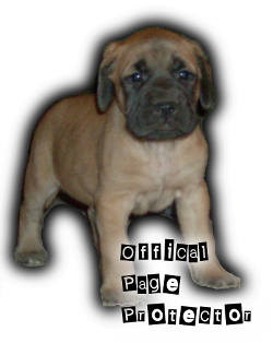 sticker_17685464_47551721