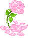 sticker_12376572_46065272
