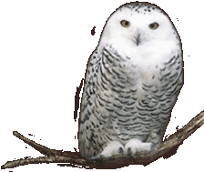 sticker_16183458_32623277