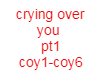 crying over you