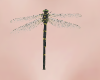 dragonfly F