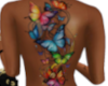 Colorful Butterfly