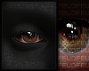 [A] JAY EYES