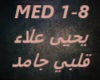 Yahia Alaa-Albi ElGamed