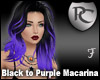 Black to Purple Macarina