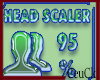 ₢ Head Scaler 95%