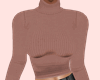E* Brown Winter Top