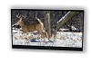 ANIMATED WALL TV