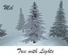 Tree with Lights